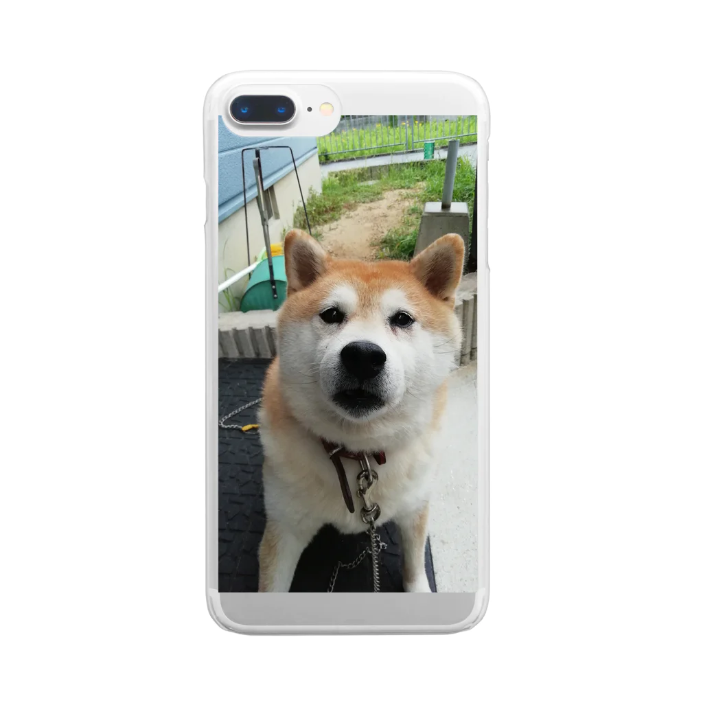 シゲっちの柴犬マロンさん Clear Smartphone Case