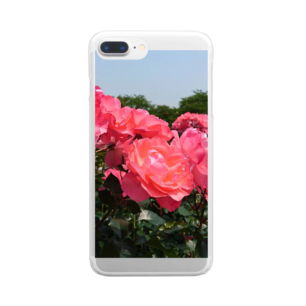 ウツリギの花の写真(バラ) Clear Smartphone Case