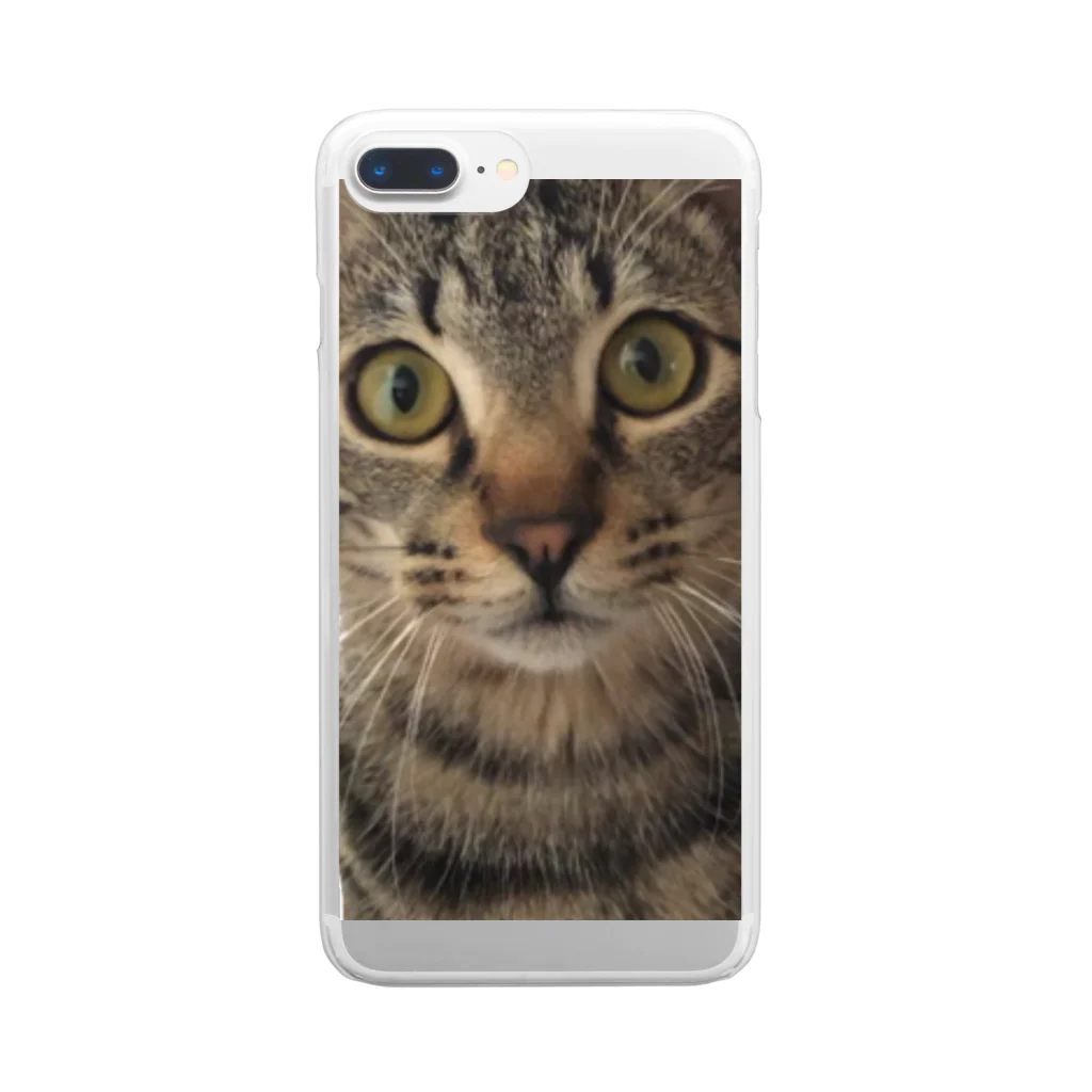 ねこまちランドのトラ猫ドアップココ Clear Smartphone Case