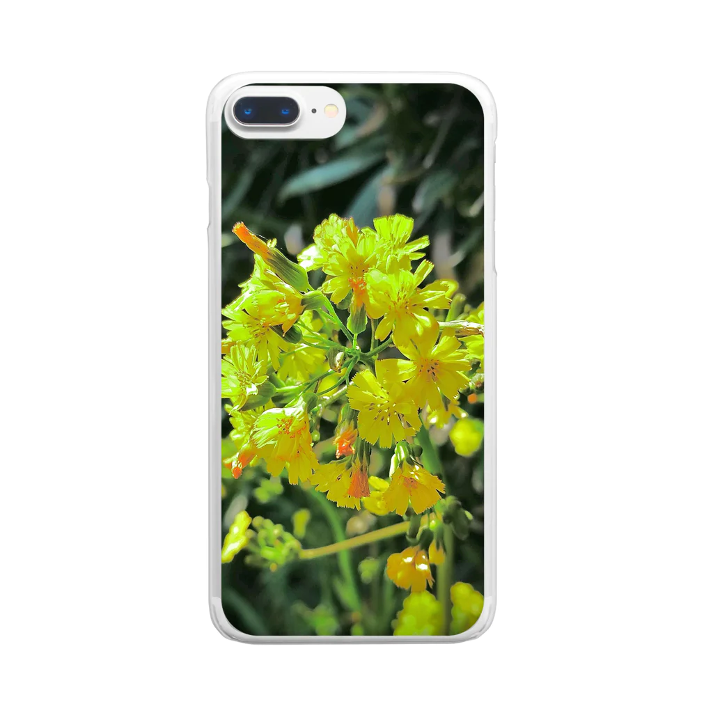 LalaHangeulの春の野の花　 Clear Smartphone Case