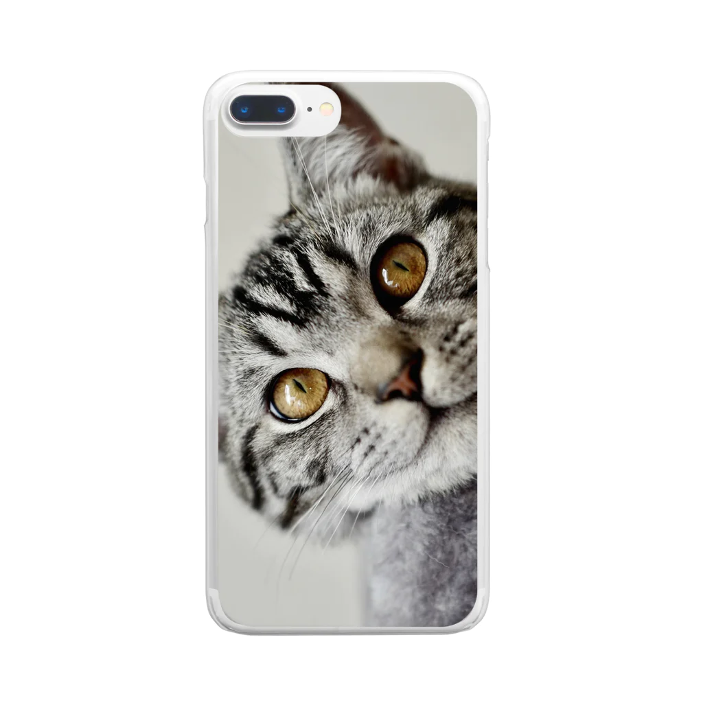 長足マンチカンのつんの猫の笑顔に癒されて Clear Smartphone Case