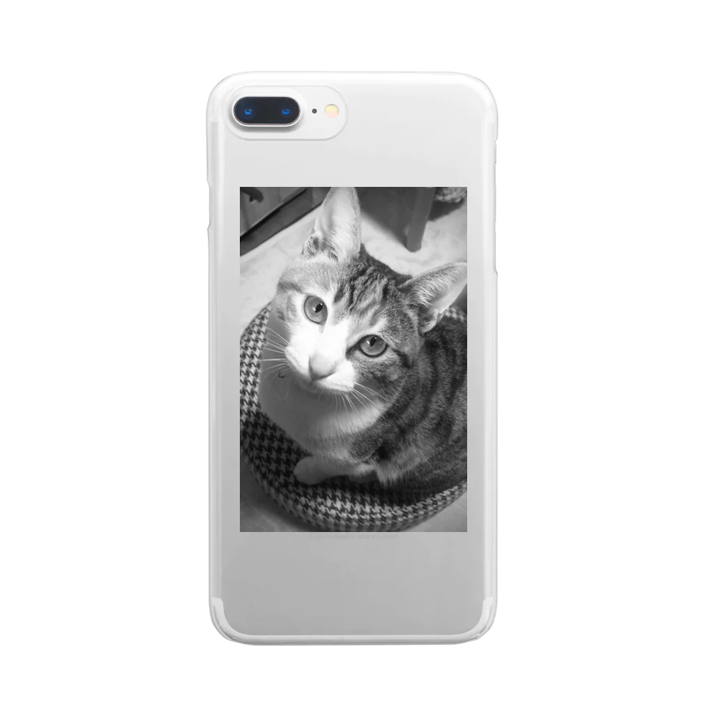 ほぼひめ。の三毛猫のひめ　3 Clear Smartphone Case