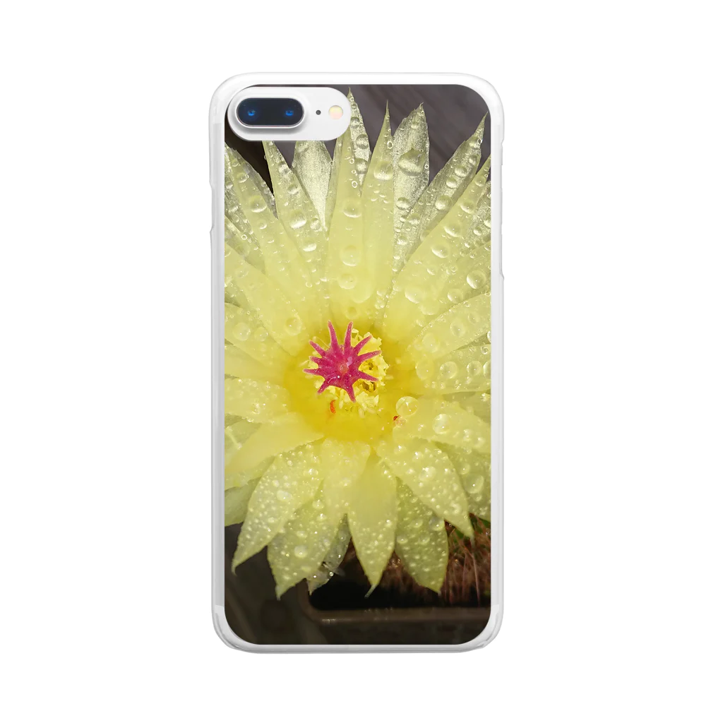 でおきしりぼ子の実験室のサボテンの花 Clear Smartphone Case