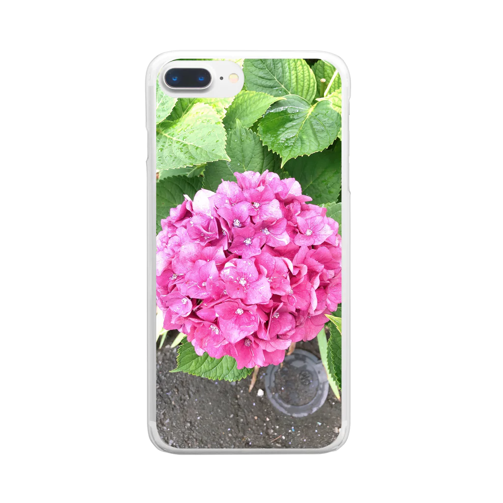 フラワーライフ💐🌹の紫陽花✨ Clear Smartphone Case