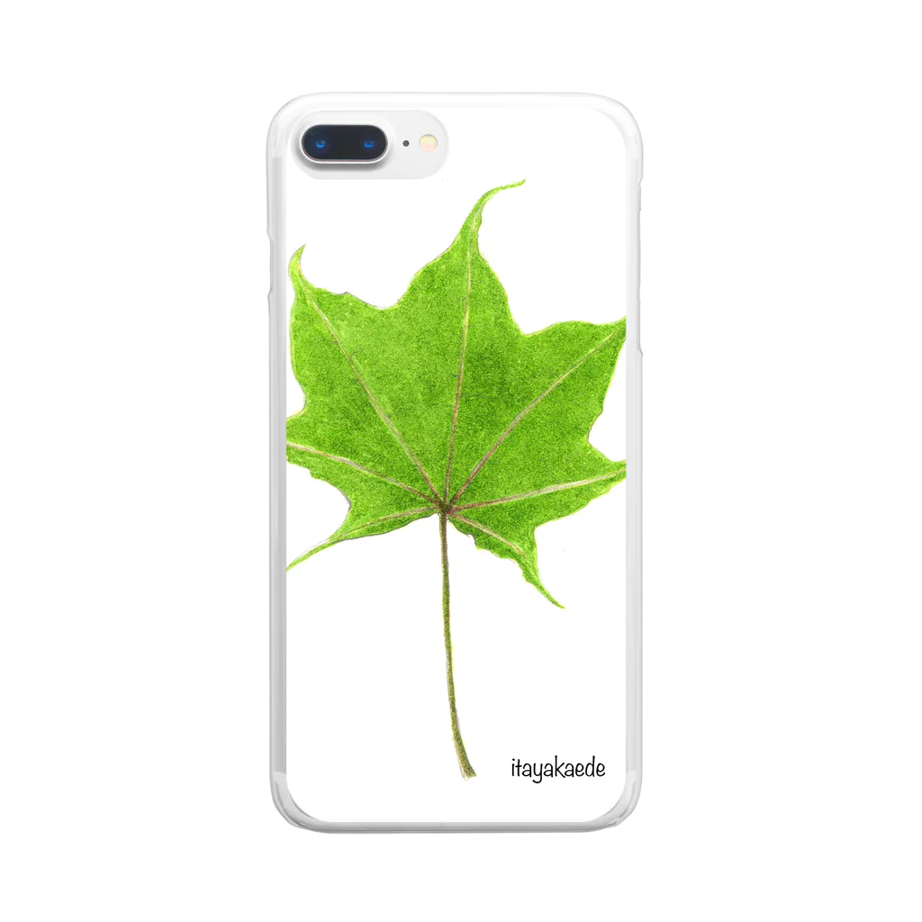 natureimage_laboのイタヤカエデの葉っぱ Clear Smartphone Case