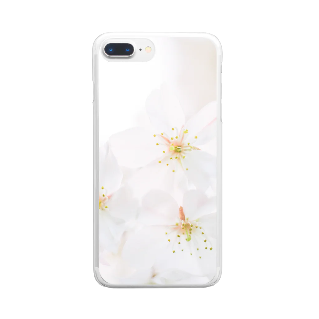 RZ67 Film Photo Galleryの「桜」 FUJIFILM PRO400H Clear Smartphone Case