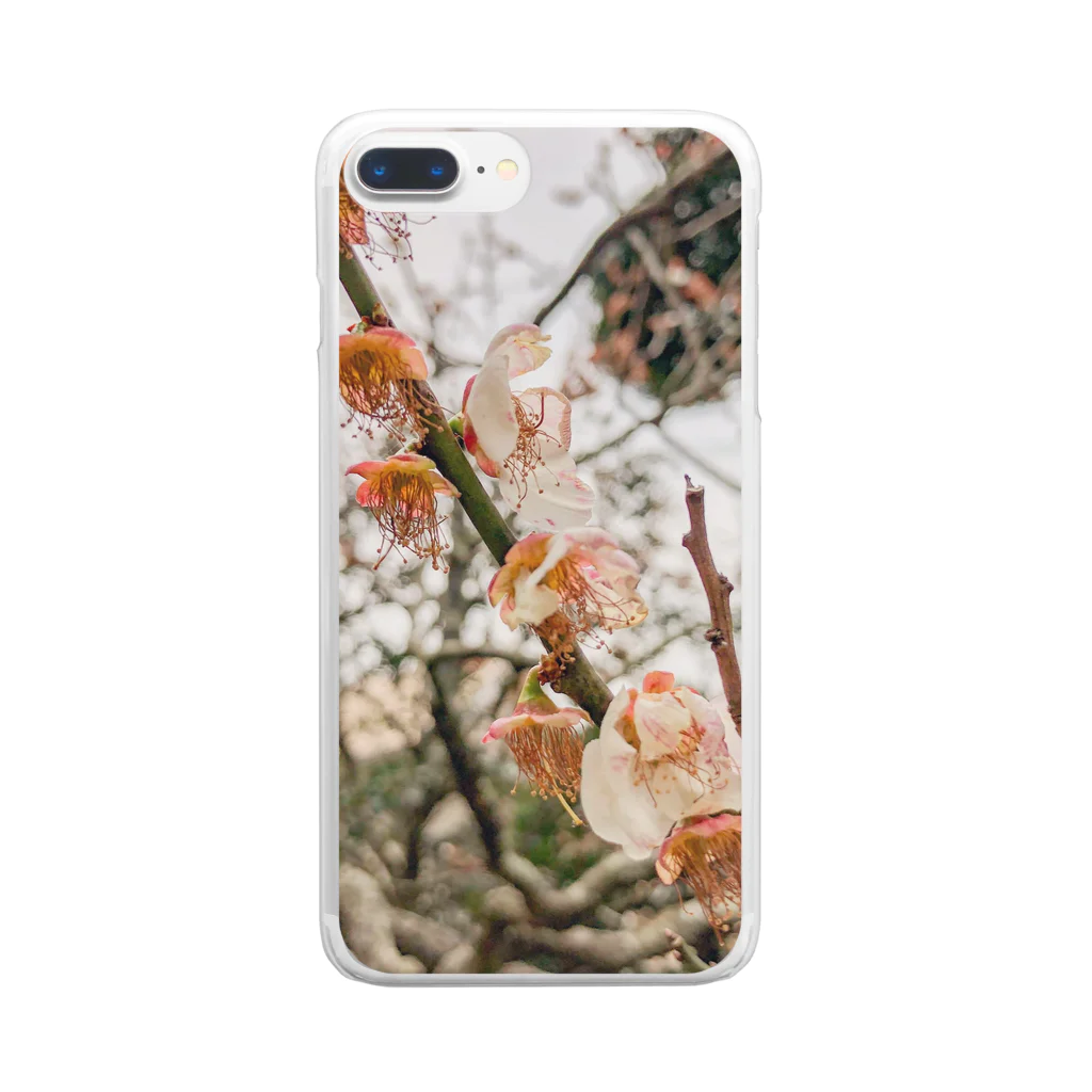 20yのcherry blossom Clear Smartphone Case