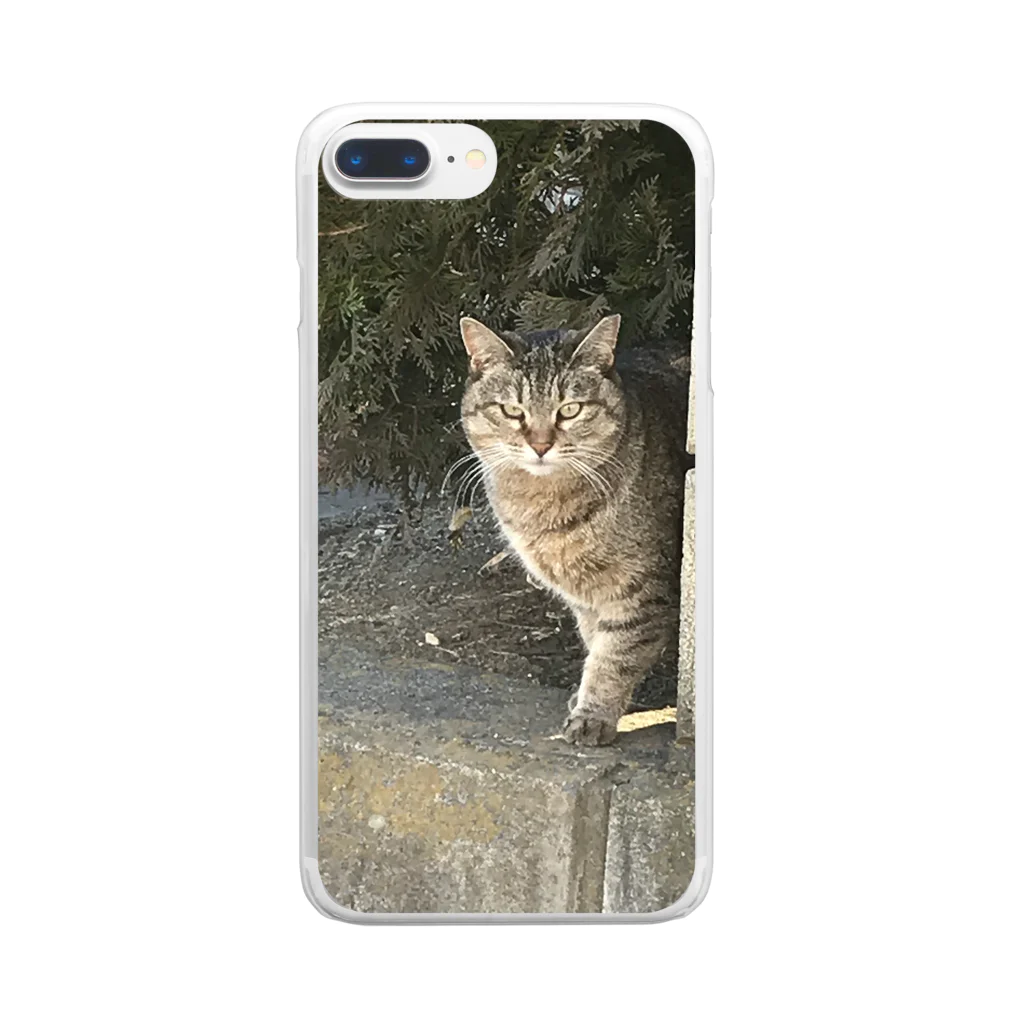 シンたまのジト目猫ちゃん Clear Smartphone Case