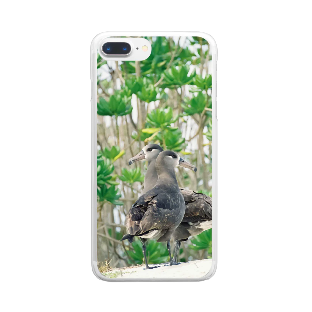 写真的徒然草のクロアシアホウドリ Clear Smartphone Case