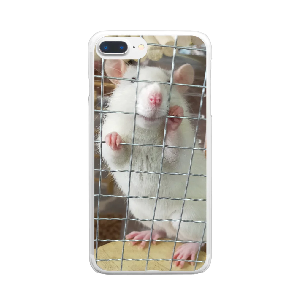 AOSHiMAのおねだりのずみ ファンシーラット Clear Smartphone Case