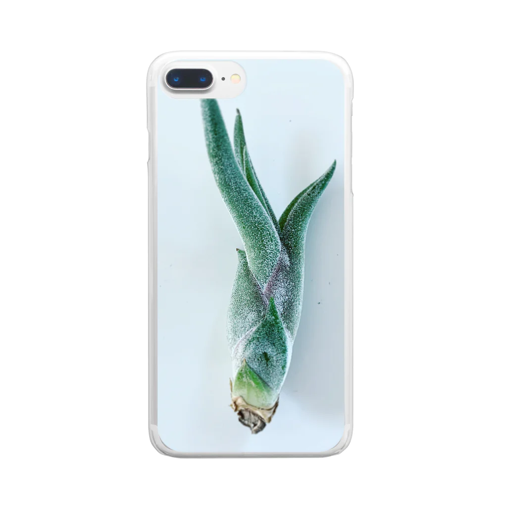 a.c.a.botanicalのカプトメデューサエ Clear Smartphone Case