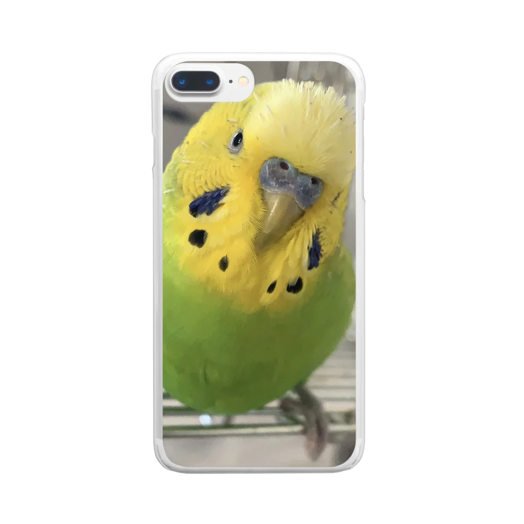 セキセイインコのきぃちゃんshopのセキセイインコ1 Clear Smartphone Case