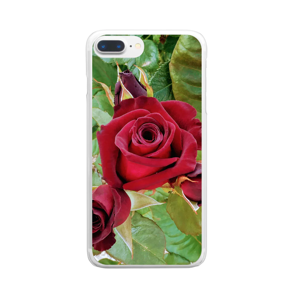 猫のhananyanの薔薇が咲いた～薔薇が咲いた～真っ赤な薔薇が～♩ Clear Smartphone Case