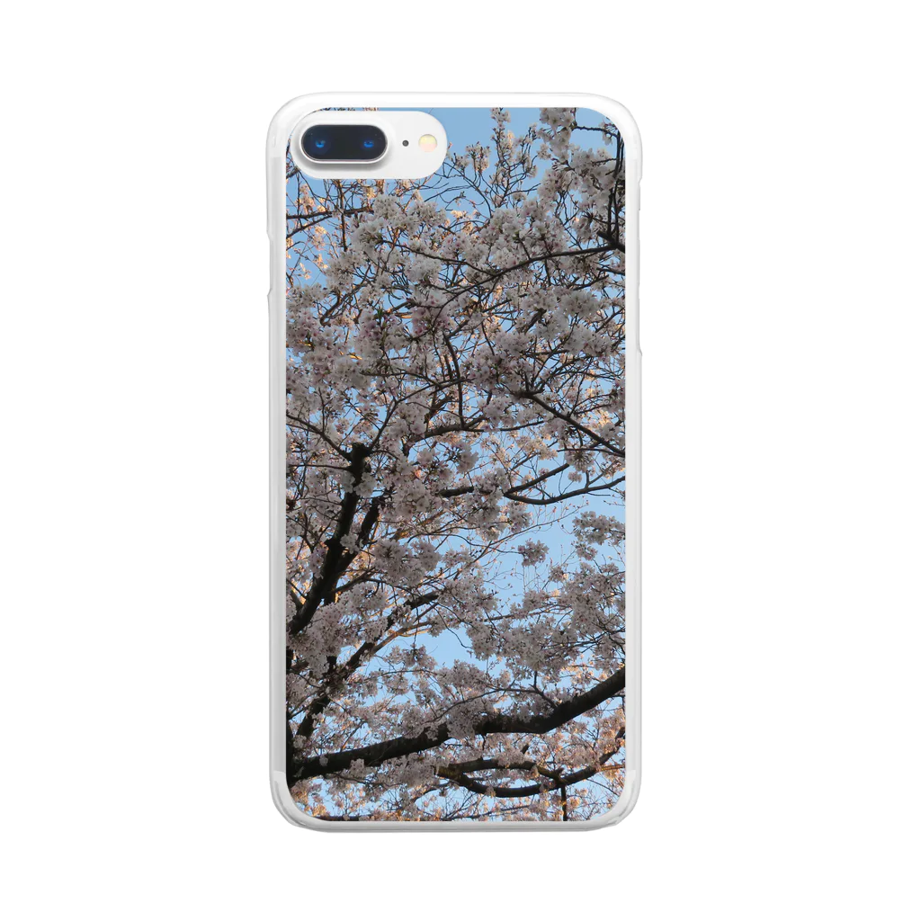 愛自然写真の桜と空 Clear Smartphone Case