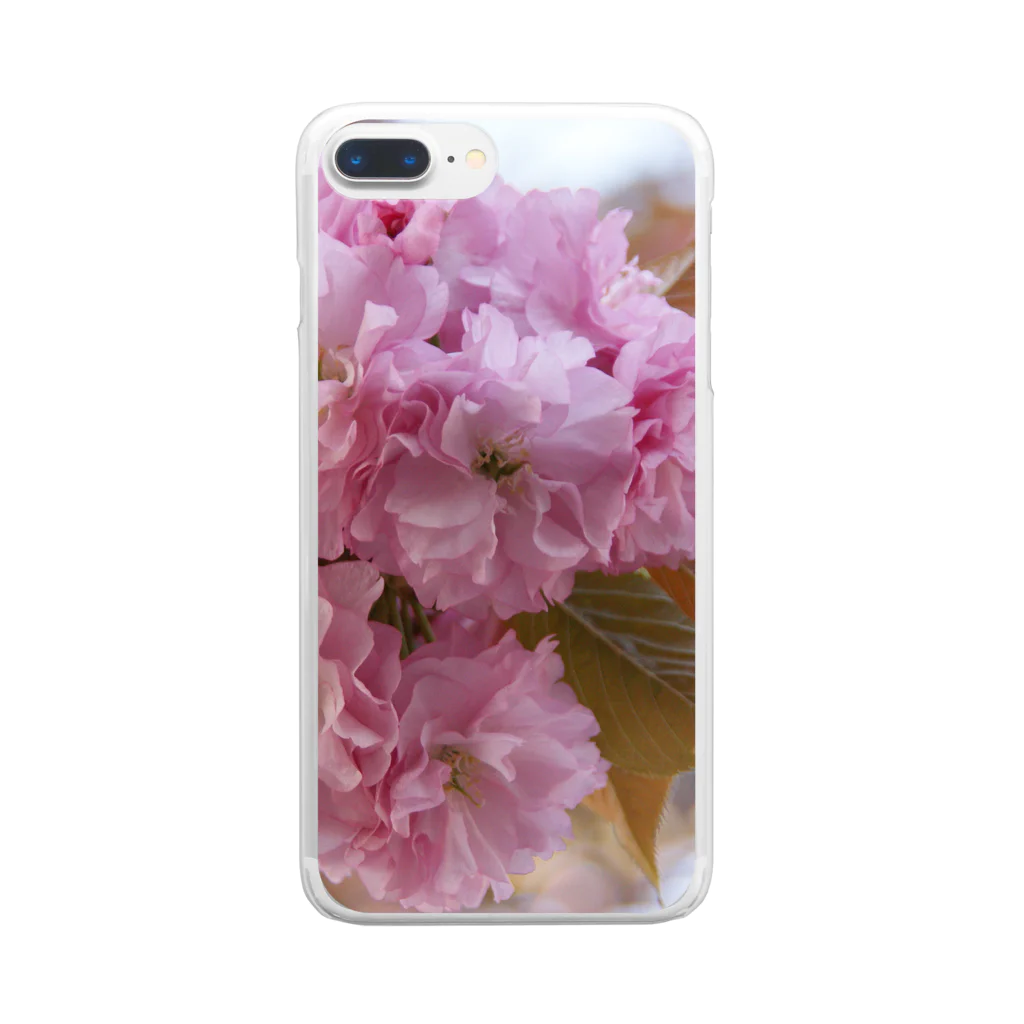 Jodlerin Sakura Kitagawa und die Edelweißmusikantenの八重さくら２ Clear Smartphone Case