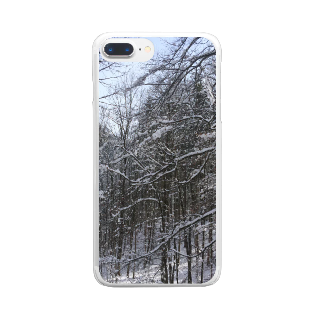 Orchestra:Suzuri支店の世界の風景:Fuessen Clear Smartphone Case