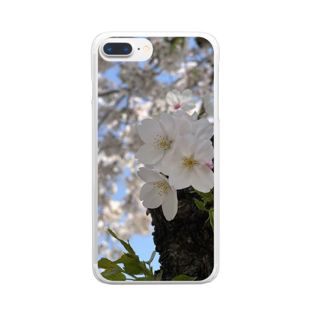 まこの見た景色の桜 Clear Smartphone Case