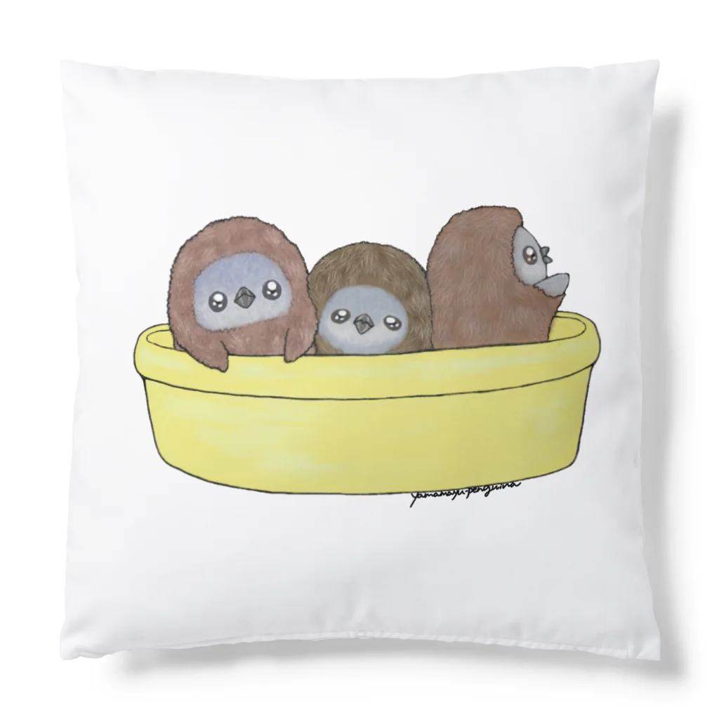 ヤママユ(ヤママユ・ペンギイナ)のタライリムジン(ケープ、マゼラン、フンボルト) Cushion