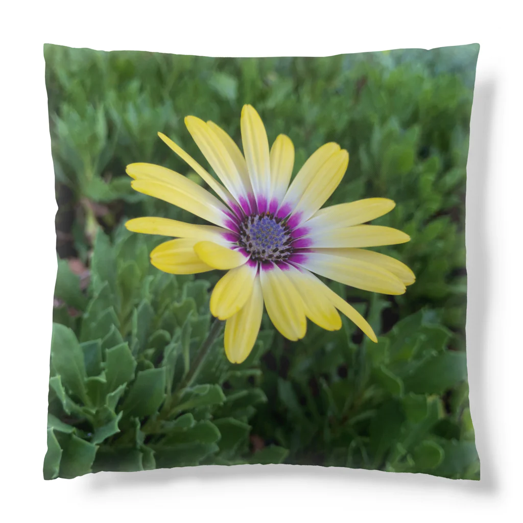 N-Photography のYellow Flowers 1 Cushion