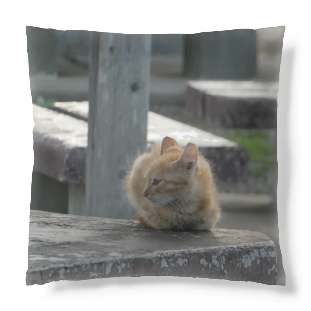 そらもようのneko Cushion