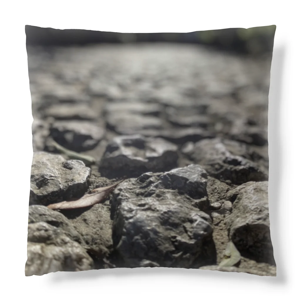 HIROMI10の石畳 Cushion