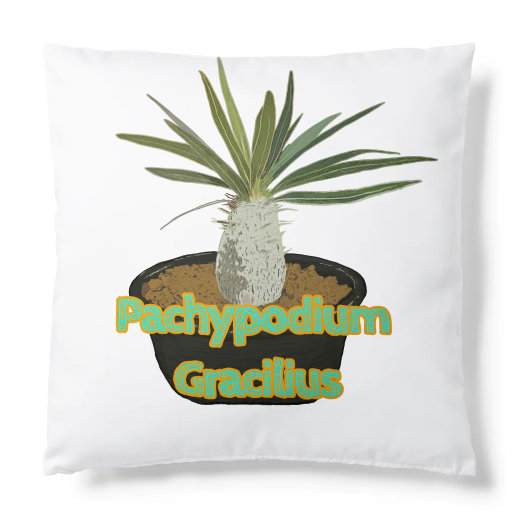 momoのPachypodium Gracilius Cushion