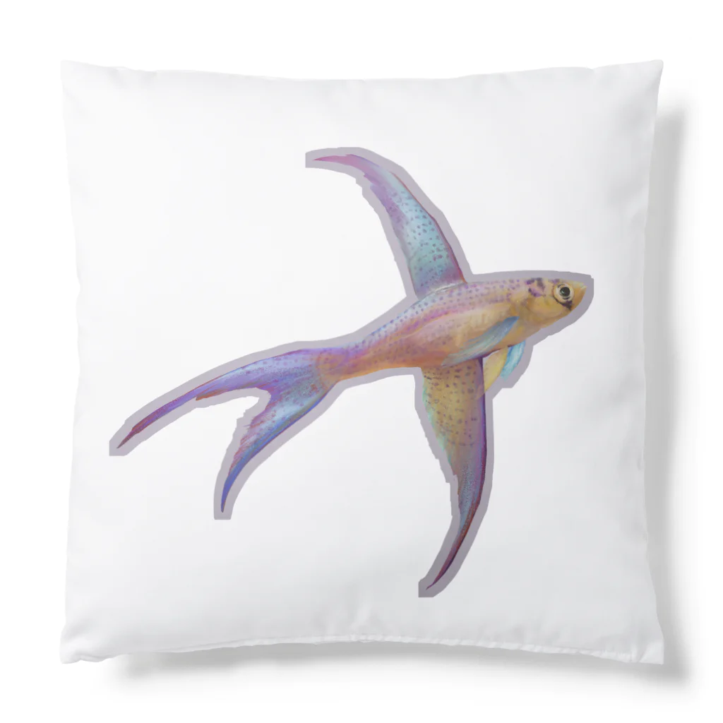 応魚のスワローキリー学名入り Cushion