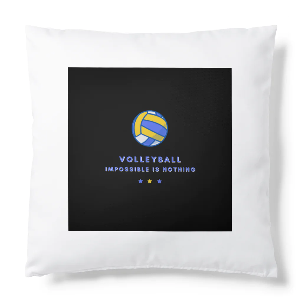 R2022のVOLLEY BALL ☆★☆ Cushion