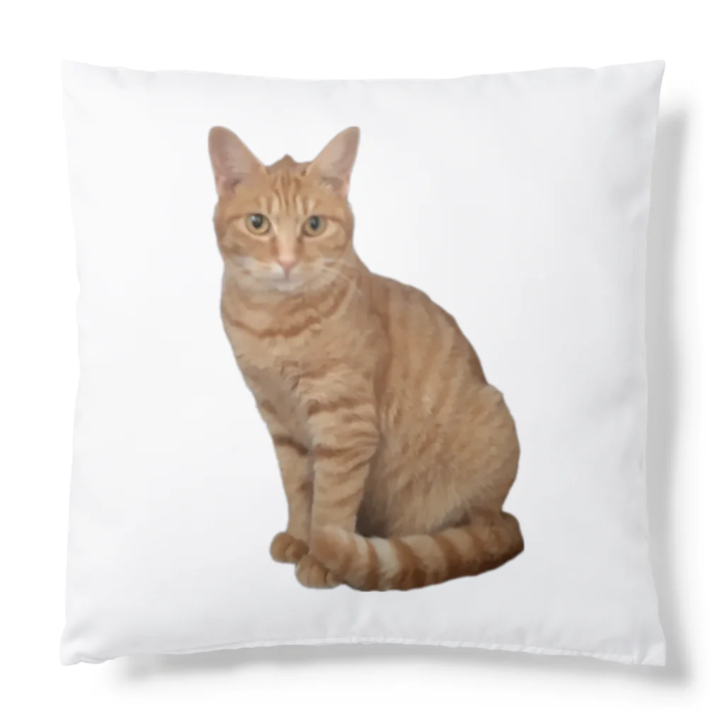 モルモットのミマモル隊のチャトラン🐱 Cushion