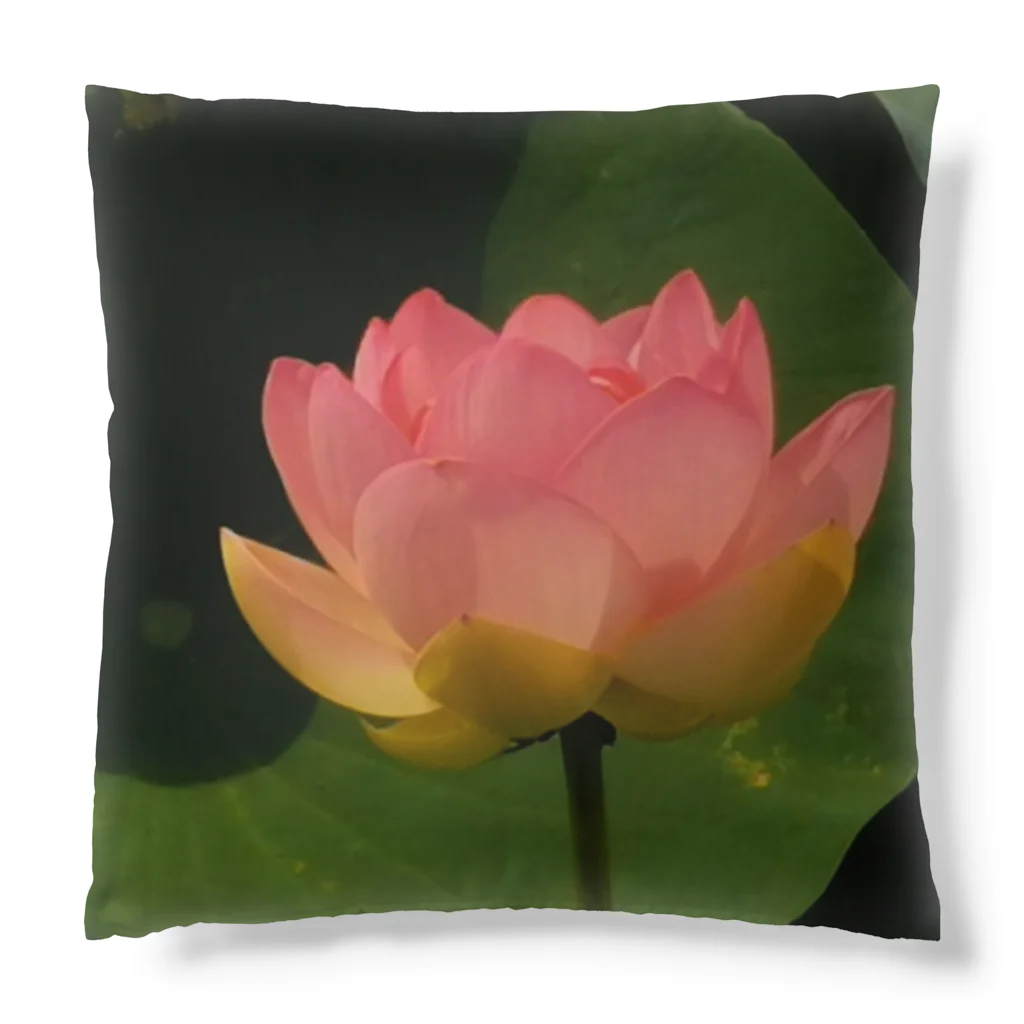 ＲＡＢＩＭＩＷの蓮の花 Cushion