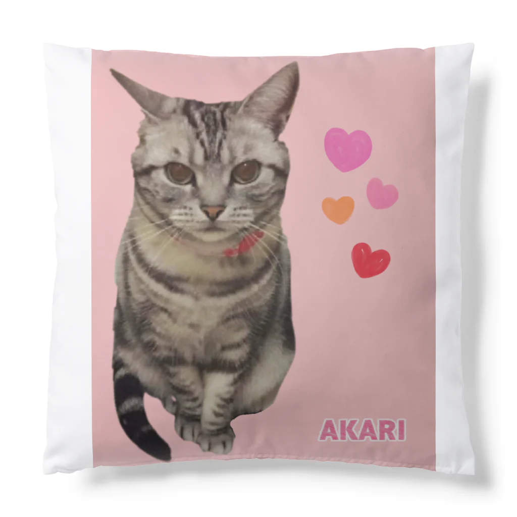 harupink🌸ペット似顔絵illustのアメショのアカリちゃん(REALver) Cushion