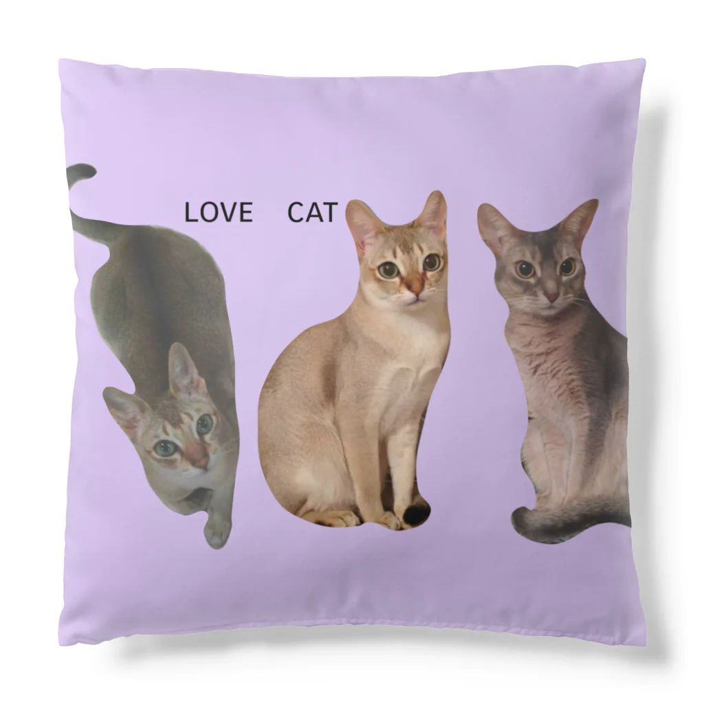 harupink🌸ペット似顔絵illustのLOVE  CAT シンガプーラ&アビシニアン Cushion