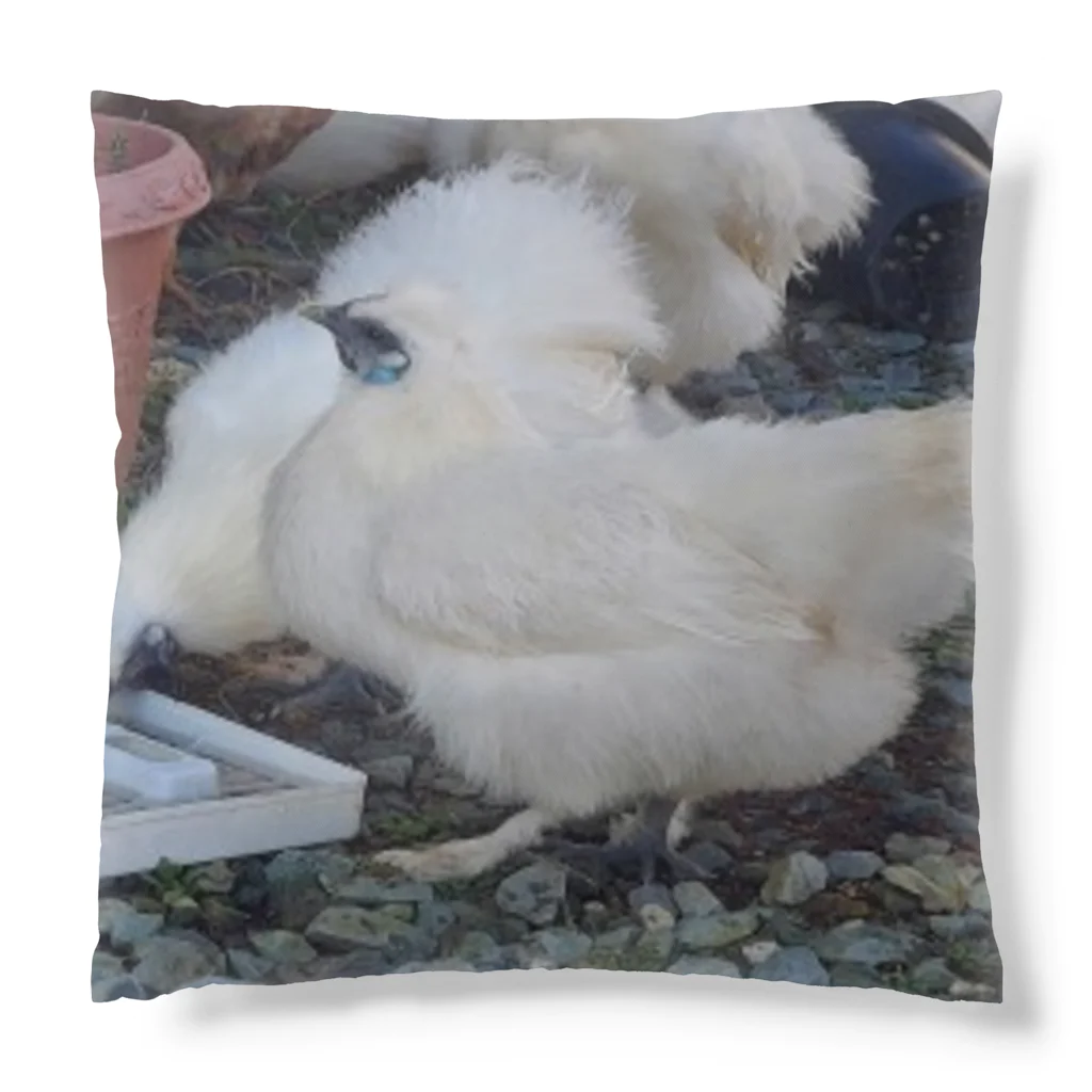 ウズうこハウスのみんな仲良く？ Cushion