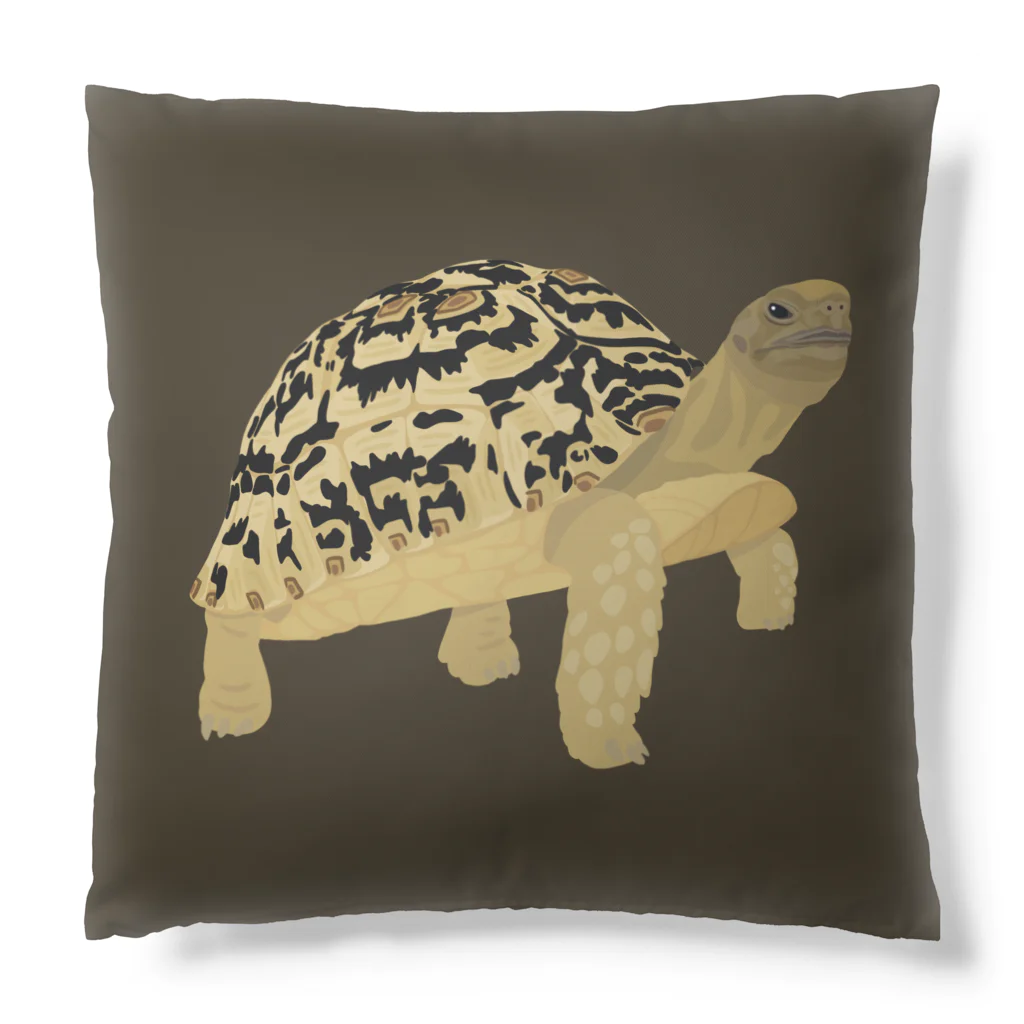 カメの歩みのヒョウモンガメ Cushion