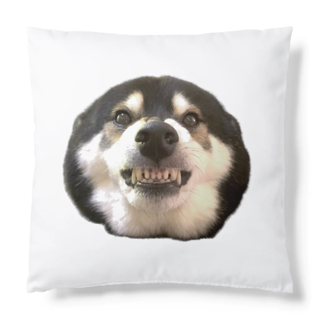 【ガルガルSHOP】柴犬大河と黒ラブ銀河の部屋の柴犬大河のガルガル・クッション Cushion