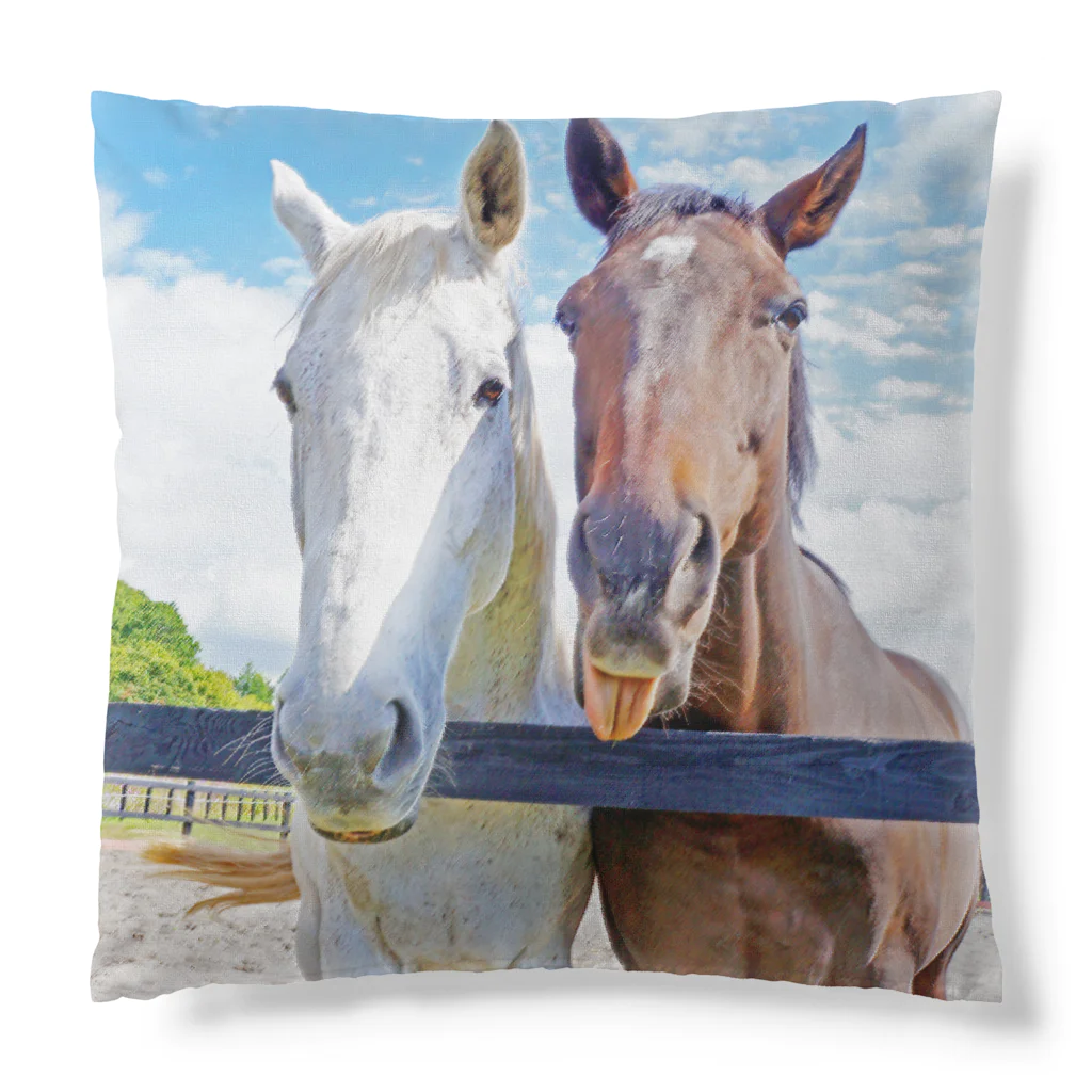 SHOP HAPPY HORSES（馬グッズ）のスピプー クッション両面デザイン Cushion