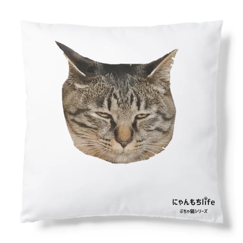 nyanmochi_lifeのびっくり猫シリーズ② Cushion