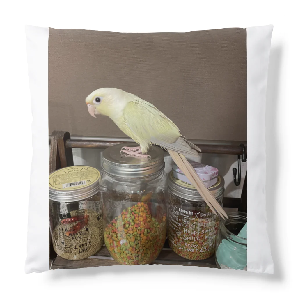 びすこ&みろのウロコインコのみーやん Cushion