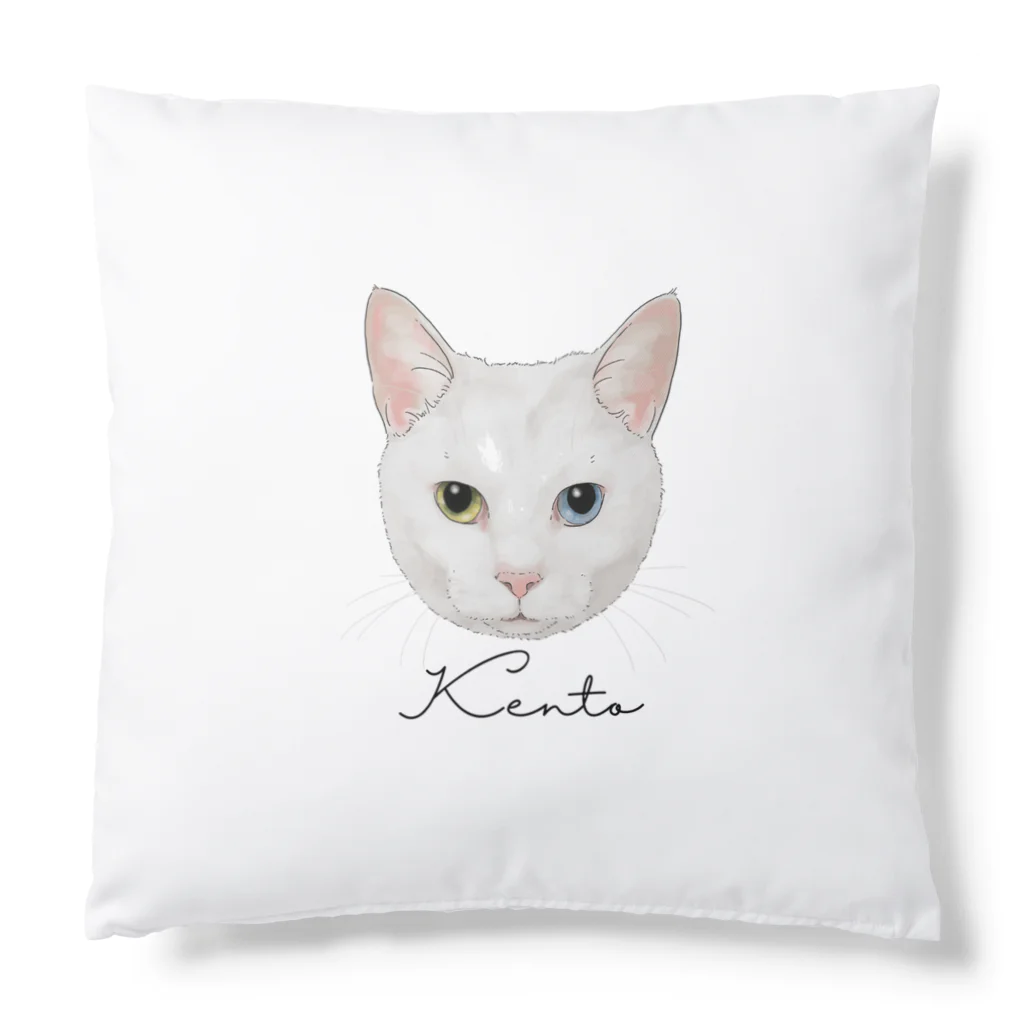 みきぞーん｜保護猫 ミッキー画伯と肉球とおともだちのmizore kento Cushion