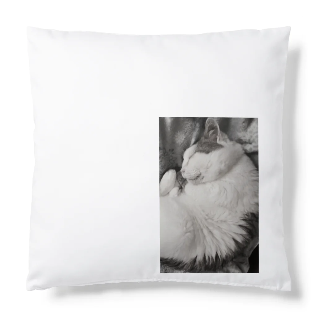 KAZU SHOPの可愛い猫のお昼寝　癒し Cushion