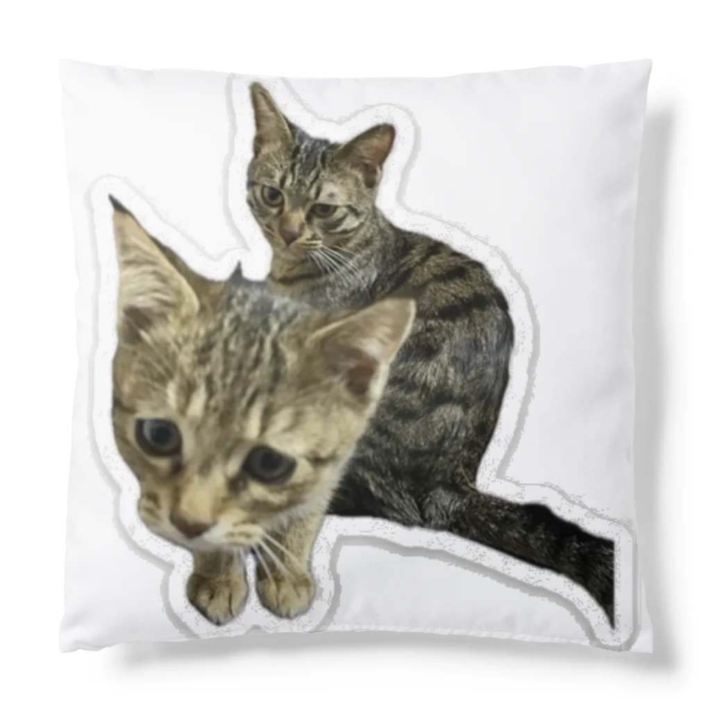 R&B.STUDIO WEBSHOPのキャッッット Cushion