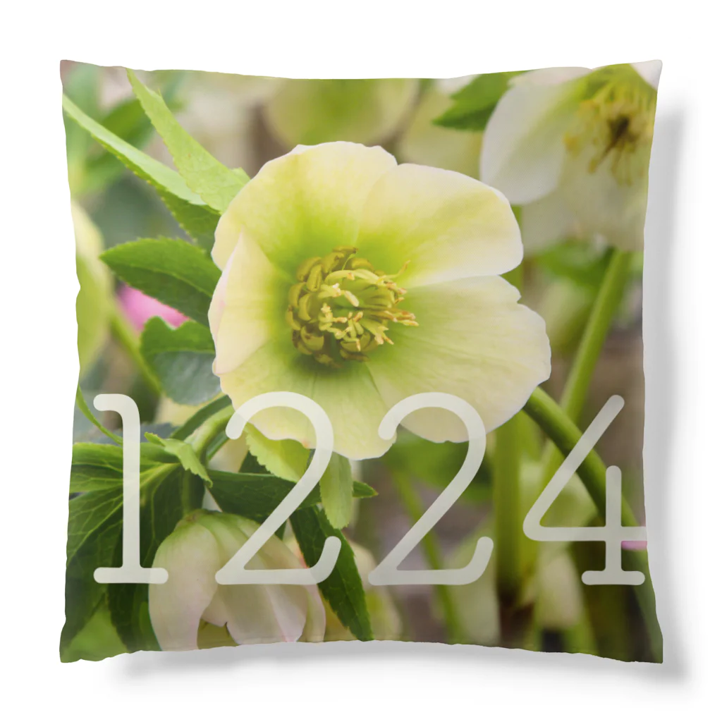 ς ua· Birthday flowerの12月24日 クリスマスローズ Cushion