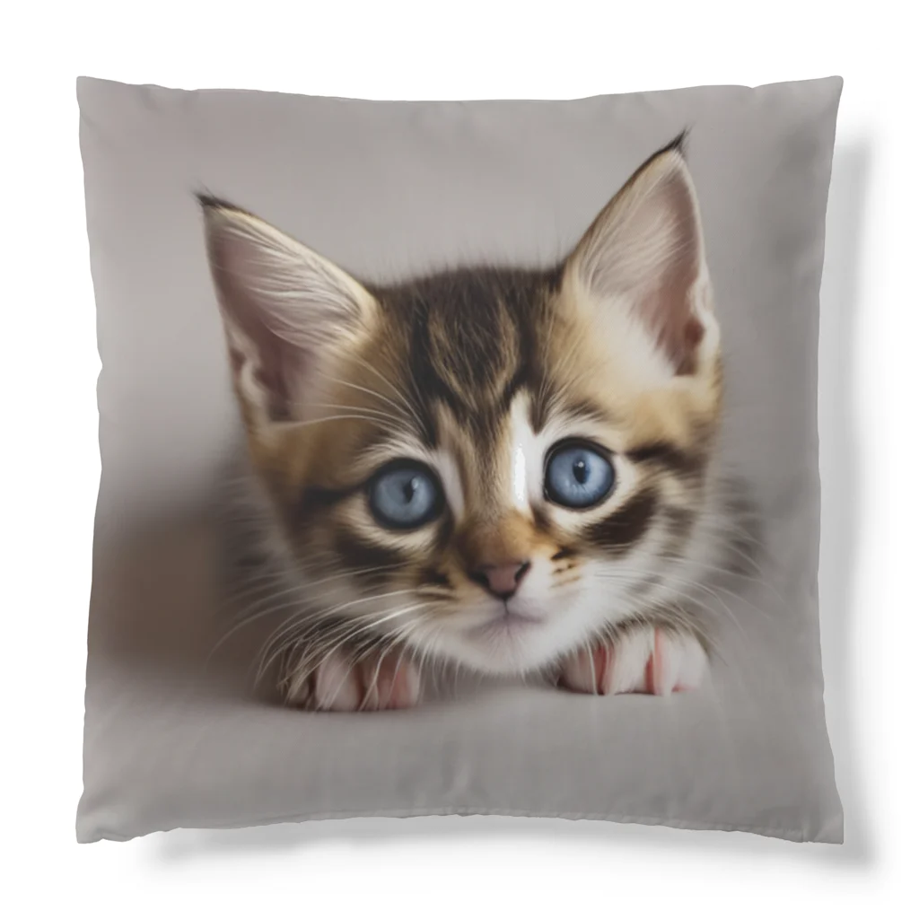 ks-staffの😺癒し猫シリーズ💖 Cushion