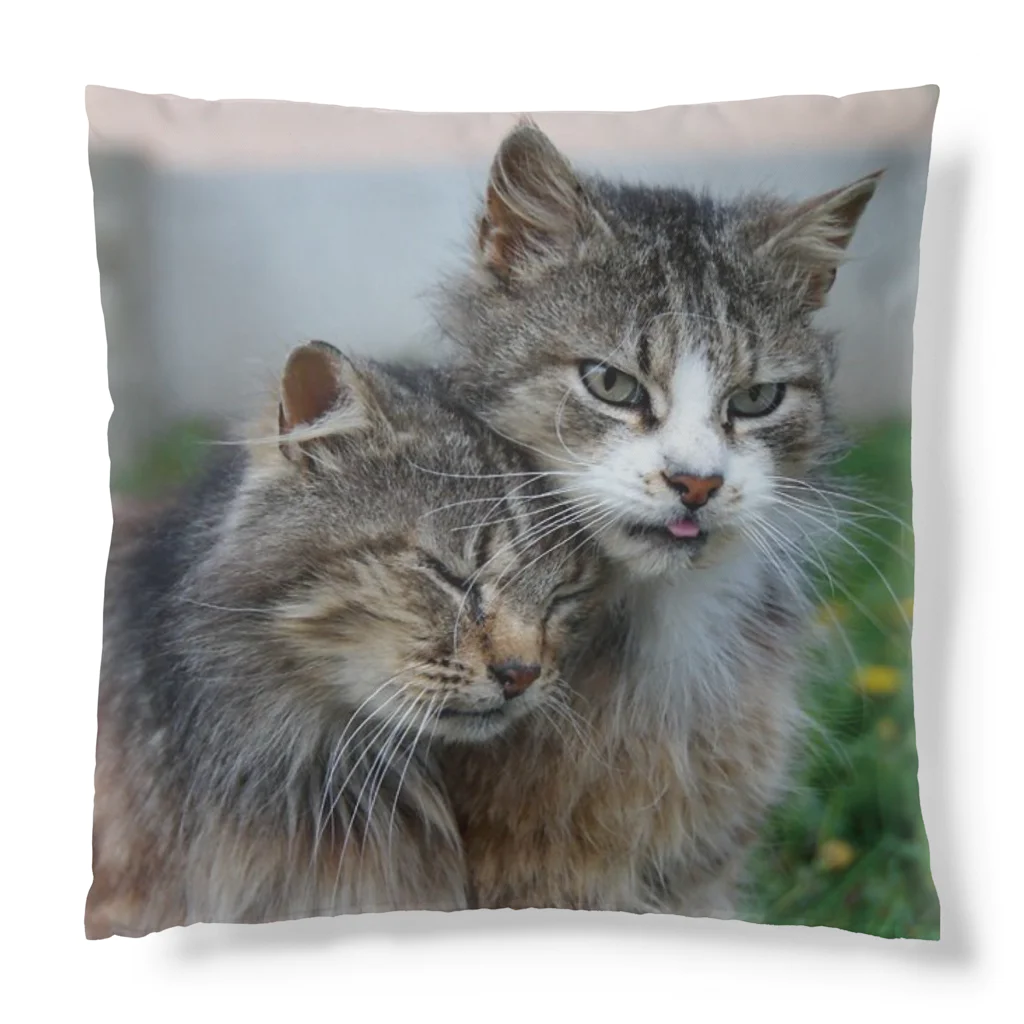 ニゴ猫　shopの愛だろう愛 Cushion