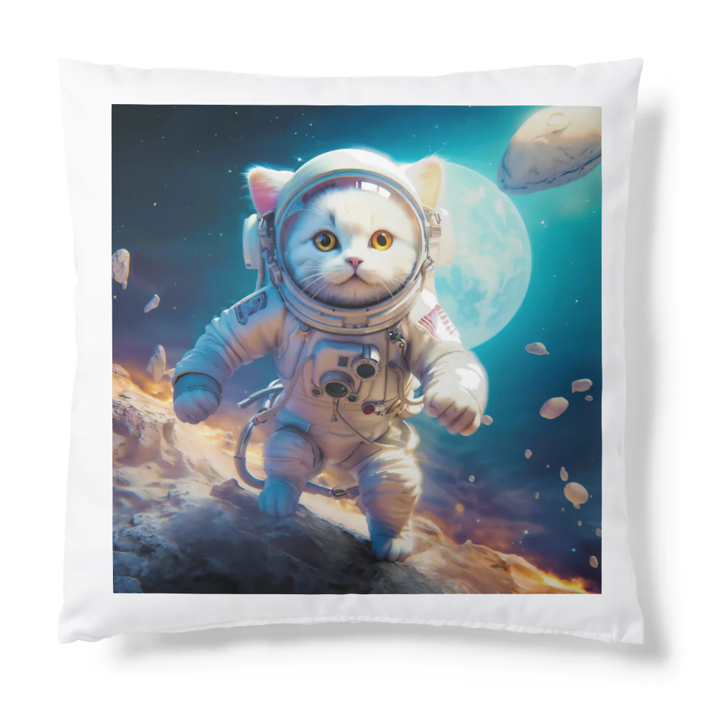 AsukaKotohaのねこ界初の宇宙飛行士が誕生！ Cushion