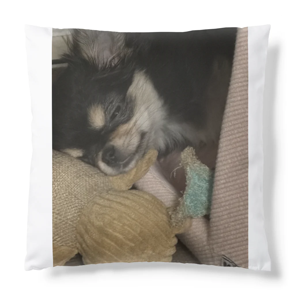 我が家の愛犬のぬくぬくモコ Cushion