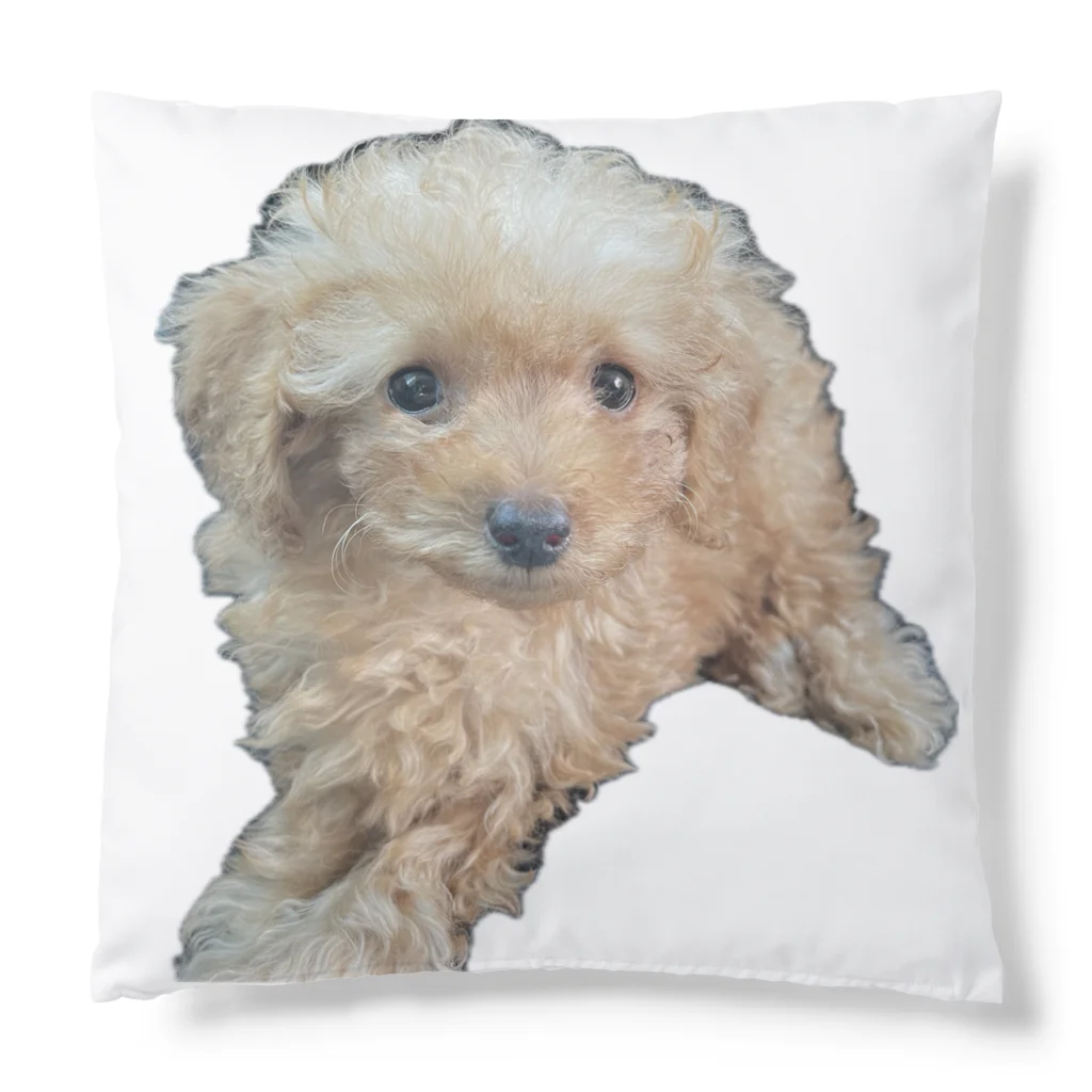 ちょっと変なアラサーの限界犬 Cushion