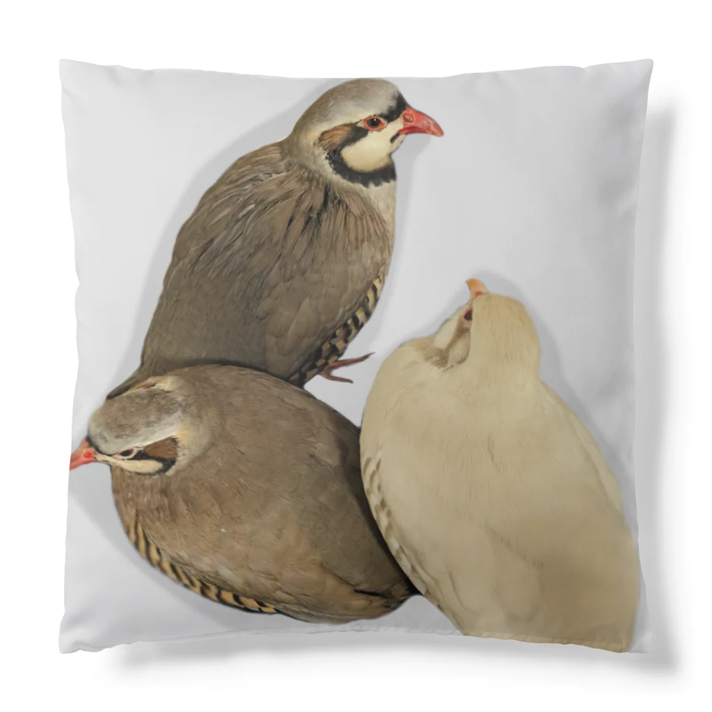 でぶんちょう🦆のぐるぐるイワシャコ(グレー) Cushion