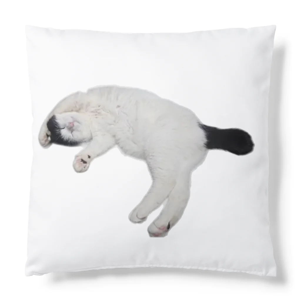 クリスタの尻尾が短い保護猫 たぬちゃん Cushion