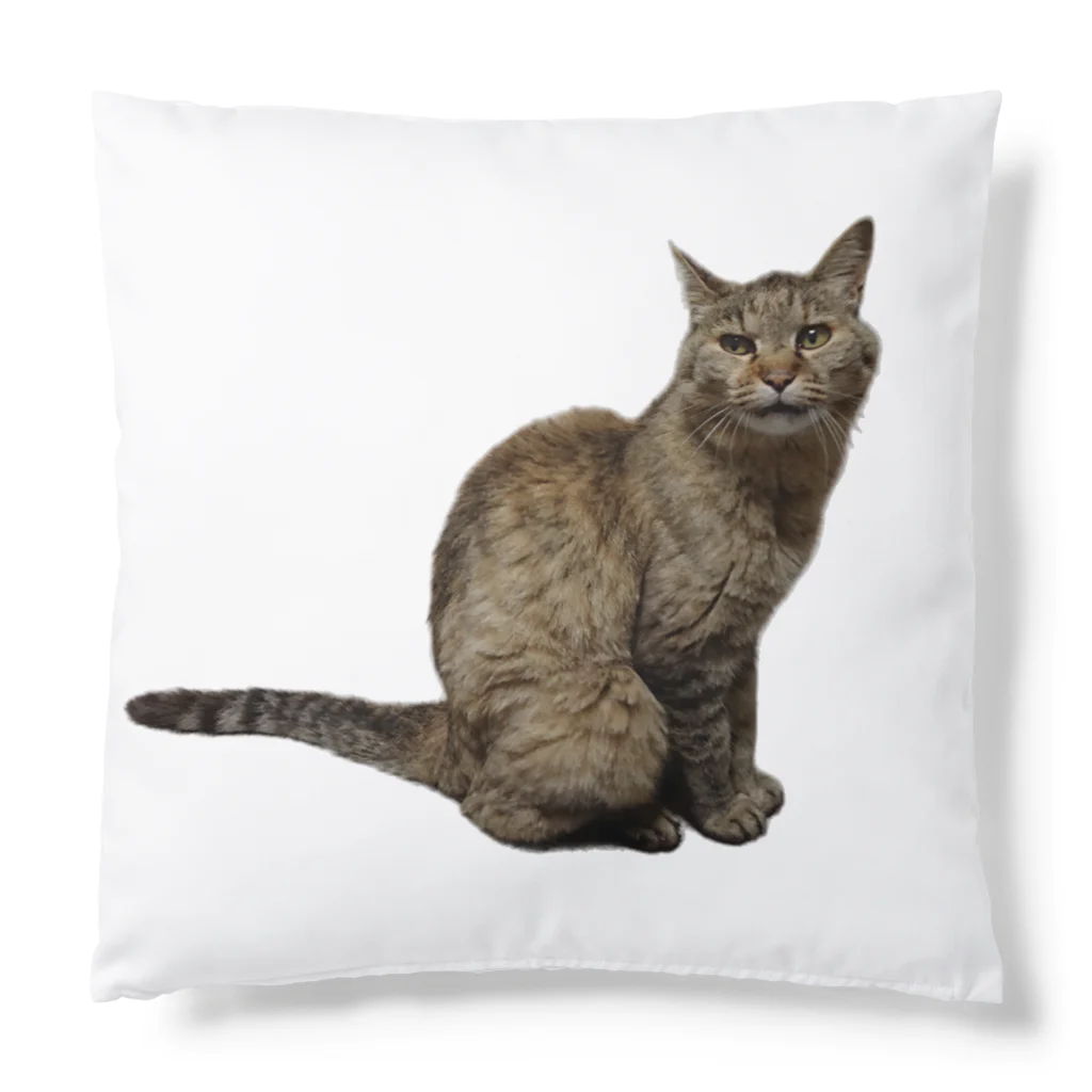 クリスタの保護猫 ポポちゃん Cushion